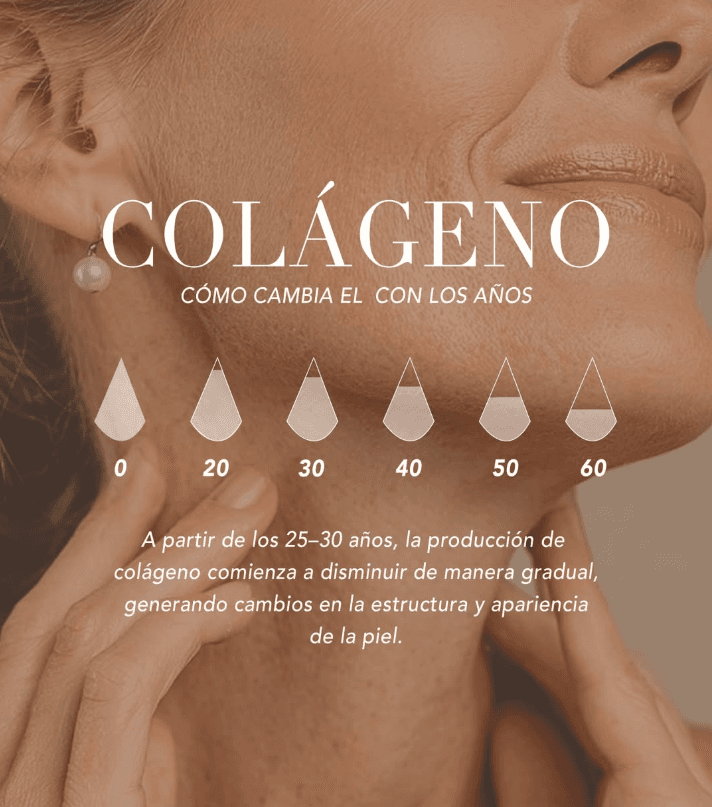 Diagrama de cómo disminuye la producción de colágeno con la edad, de los 0 a los 60 años